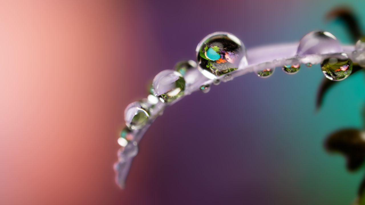 Module